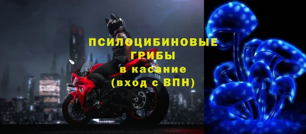 PSILOCYBIN Абинск