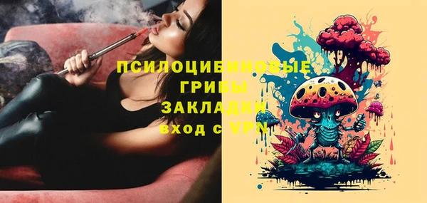PSILOCYBIN Абинск