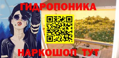 спиды Лесосибирск